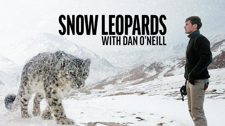 Snow Leopards with Dan O'Neill still 1