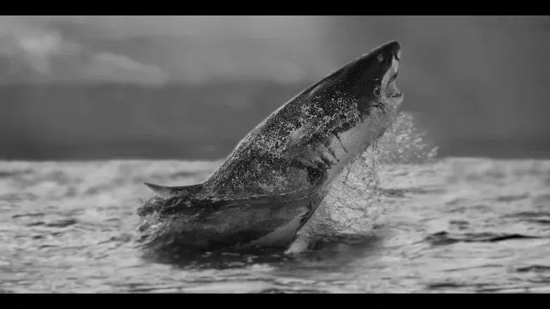 Air Jaws Strikes Back still 3