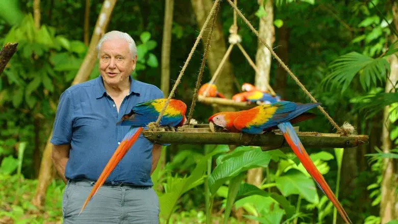Attenborough's Life in Colour still 8