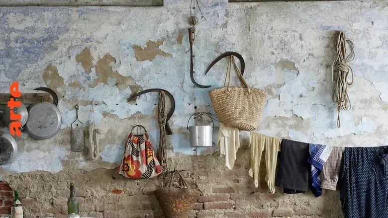 A History of the European Rural Life still 3