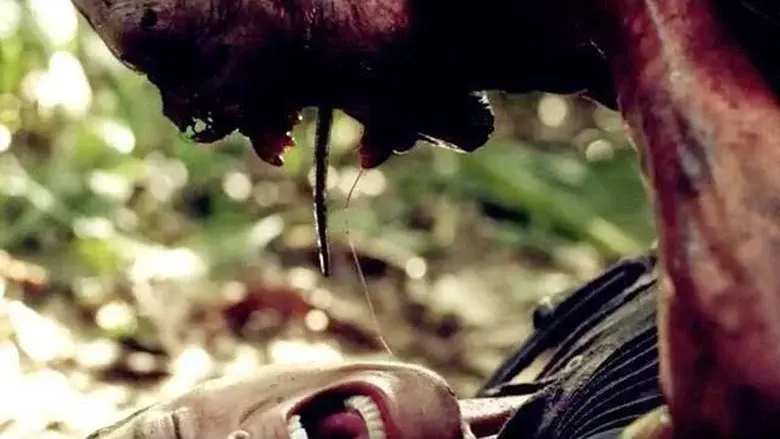 Indigenous still 1