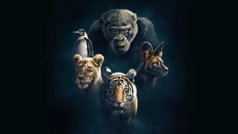 Dynasties still 1