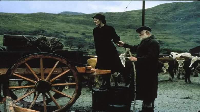 The Field still 2