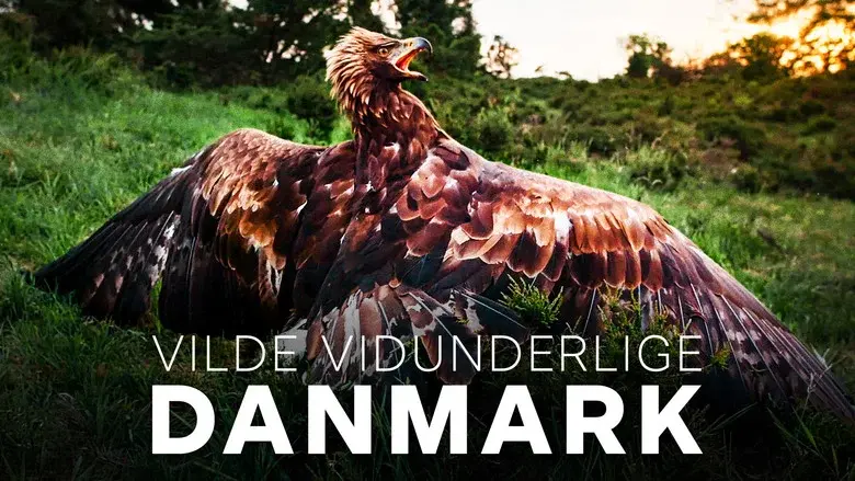 Wild and Wonderful Denmark still 2