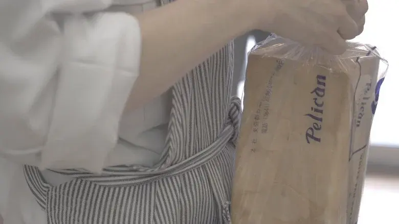 Pelican: 74 Years of Japanese Tradition still 6