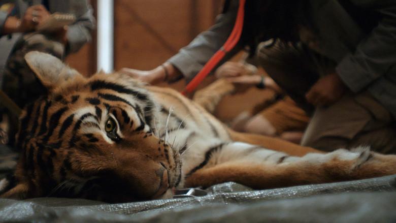 Day of the Tiger still 2
