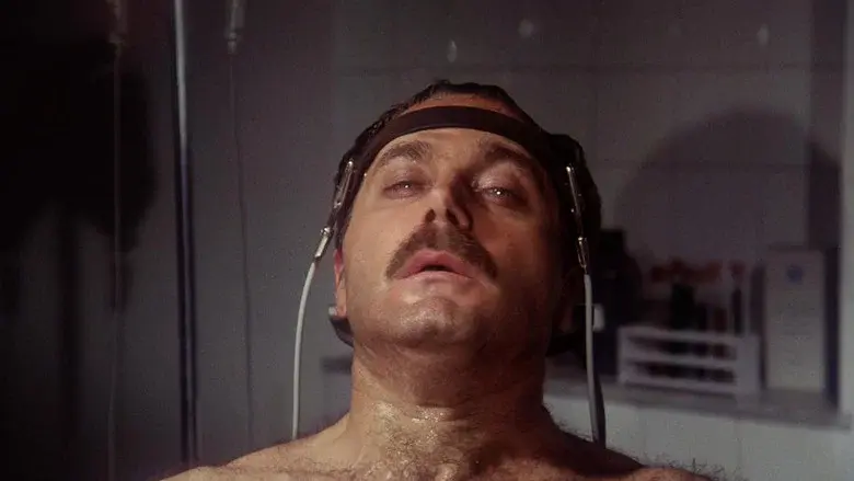 The Salamander still 3