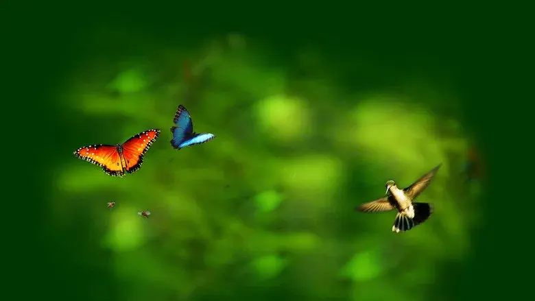 Wings of Life still 2