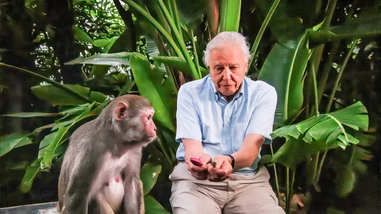 David Attenborough's Rise of Animals: Triumph of the Vertebrates still 4
