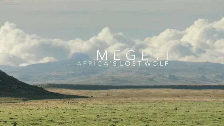 Megeti - Africa's Lost Wolf still 1