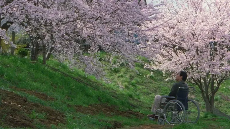 Fireworks still 6