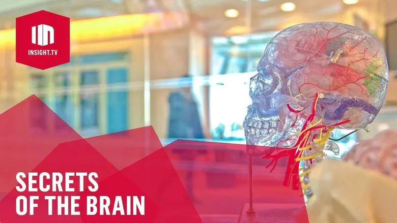 Secrets of the Brain still 2