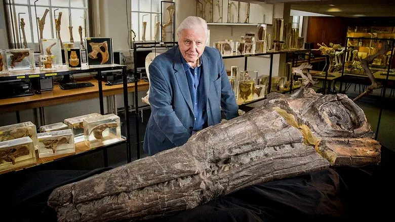 Attenborough and the Sea Dragon still 4