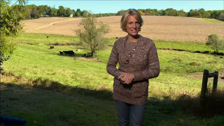 Maryland Farm & Harvest still 2