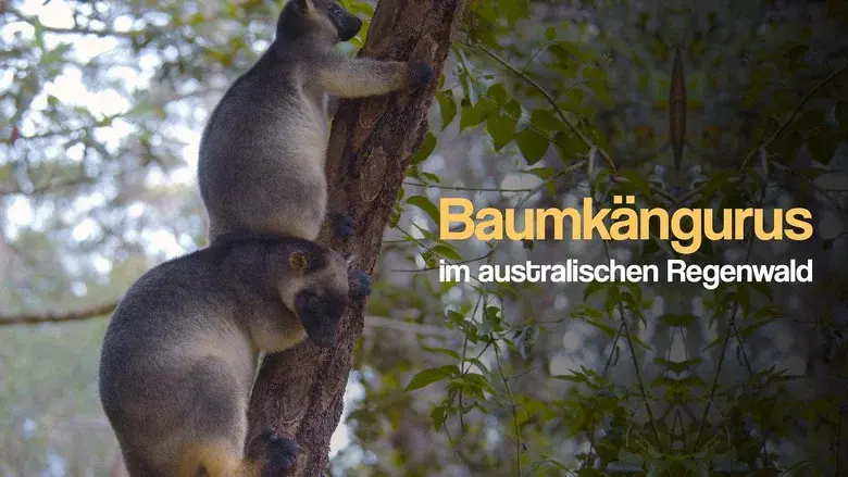 Tree Kangaroos: Ghosts of the Forest still 5