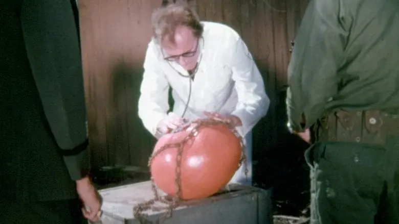Attack of the Killer Tomatoes! still 2
