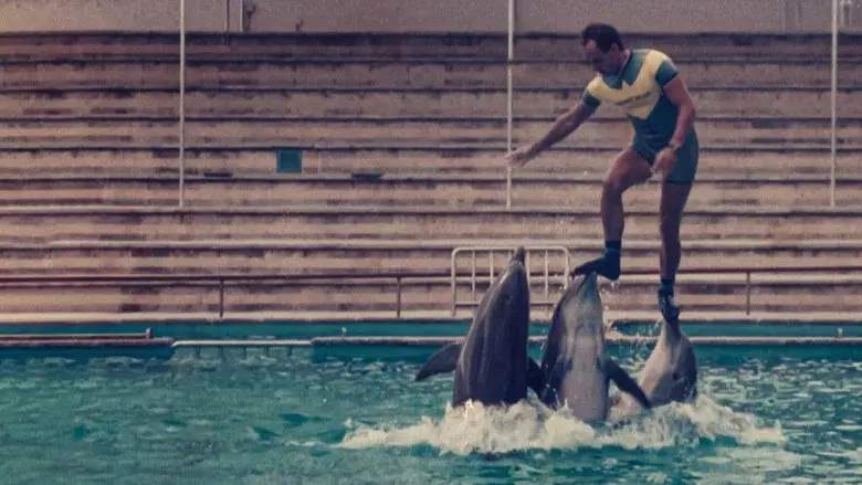 The Last Dolphin King still 3