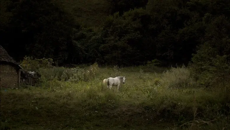 Hymn from the Hive still 2