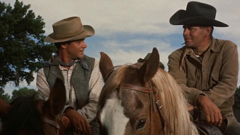 Cowboy still 7