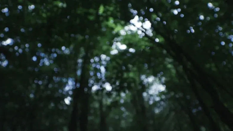 Lo Que Queda en la Tierra still 4