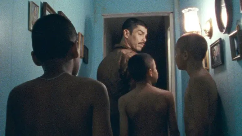 We the Animals still 4