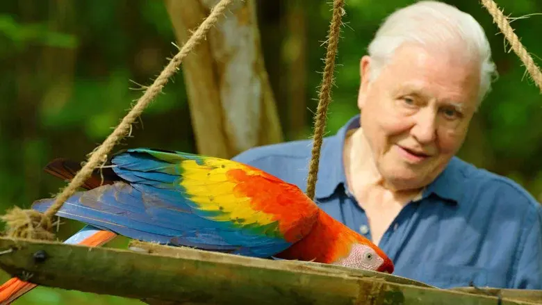 Attenborough's Life in Colour still 6