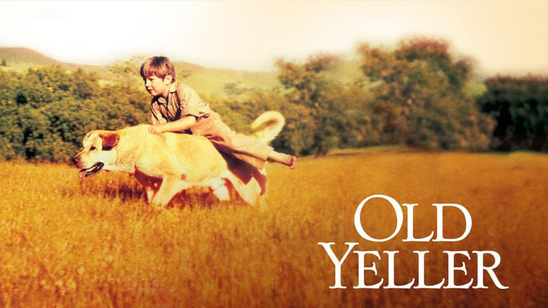 Old Yeller still 2