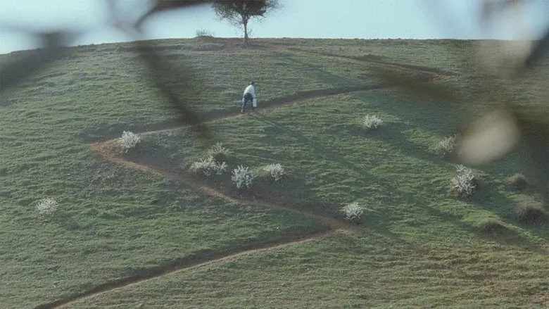 Through the Olive Trees still 7
