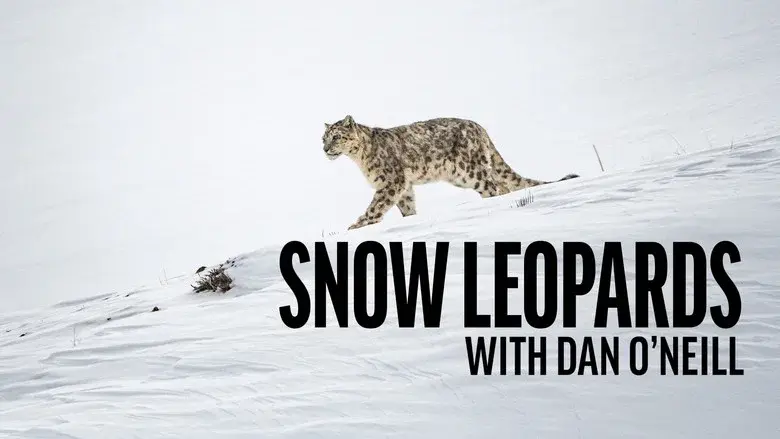 Snow Leopards with Dan O'Neill still 2