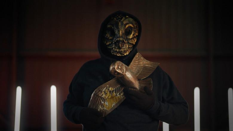 Finding The Golden Owl still 3