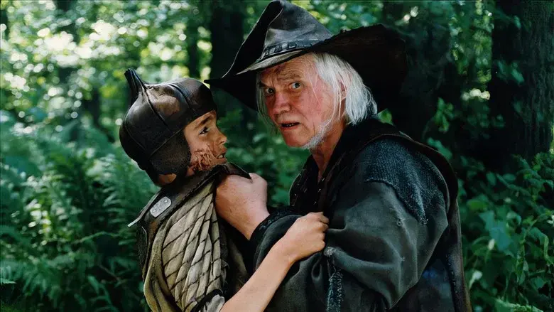 The Last Viking still 1