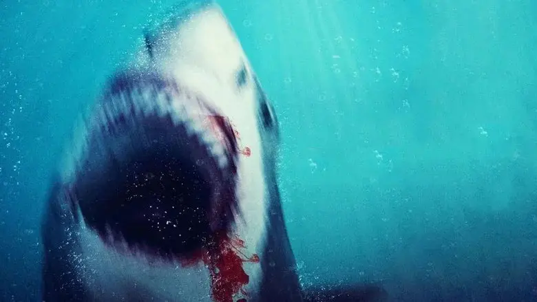 Bull Shark 2 still 2
