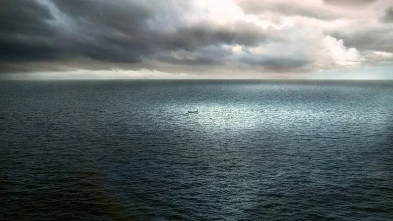 Instinct still 1