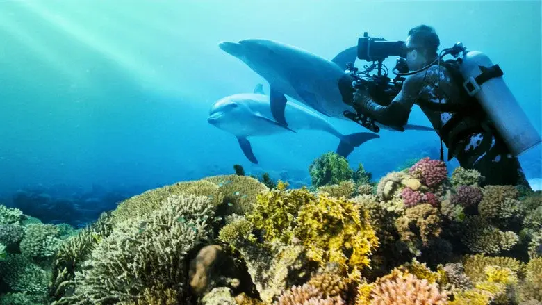 Diving with Dolphins still 3