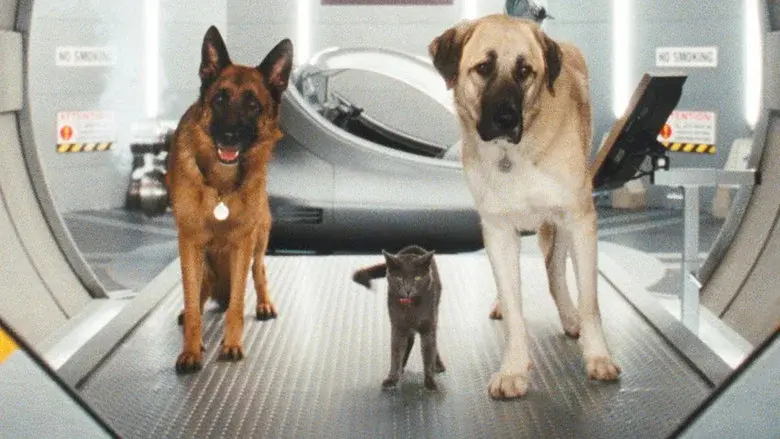 Cats & Dogs: The Revenge of Kitty Galore still 3
