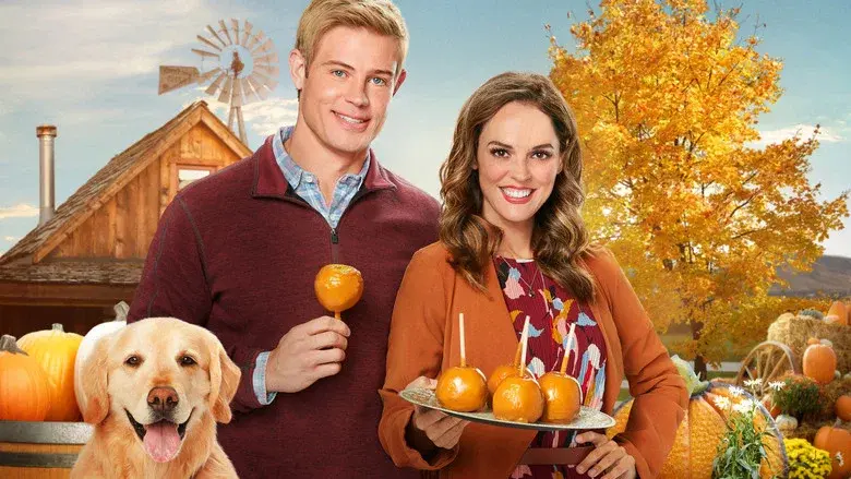 Love, Fall & Order still 1