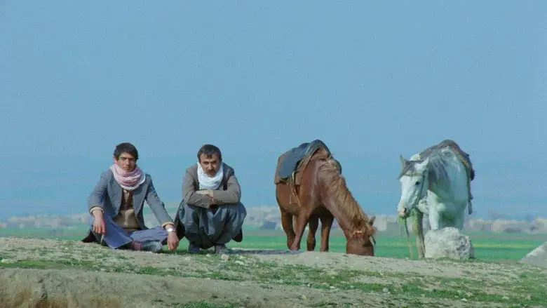 The Road still 1