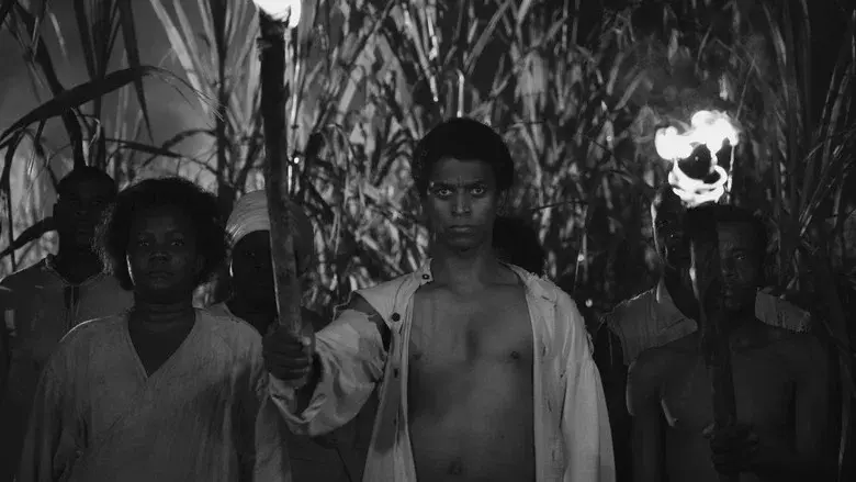 Black Zombie still 1