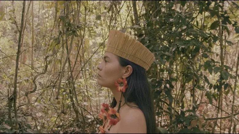 Cosmovisions still 3