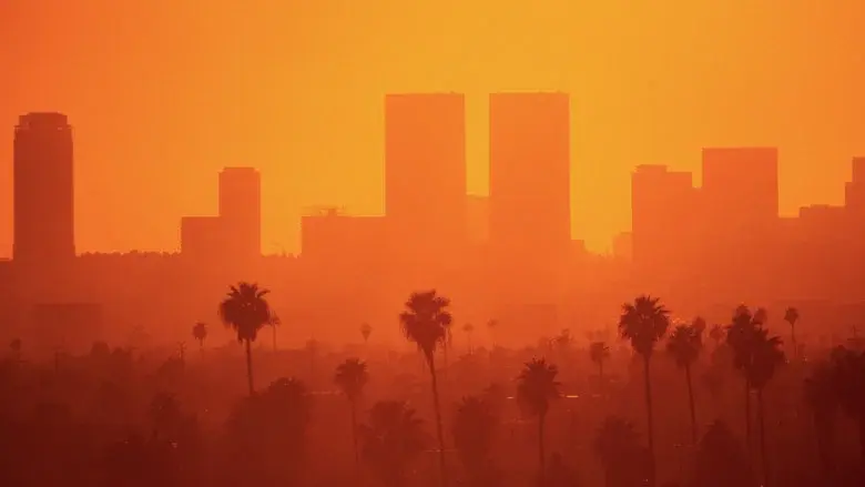 Selling L.A. still 1