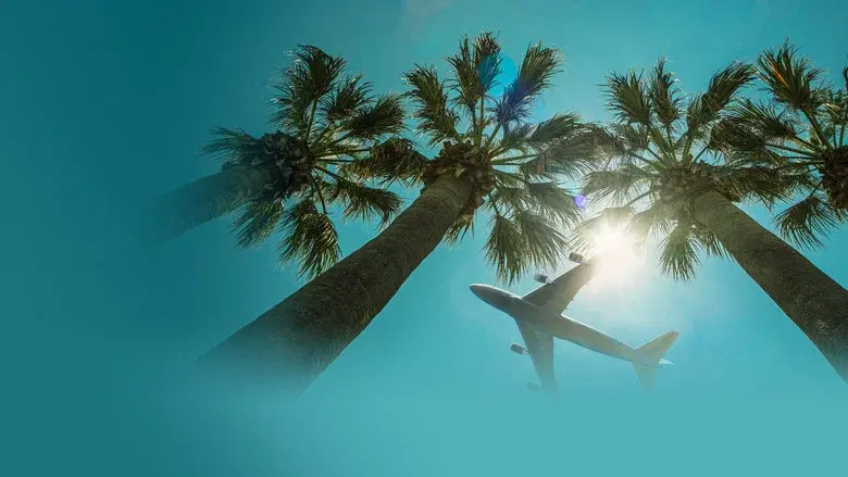 Airport 24/7: Miami still 1