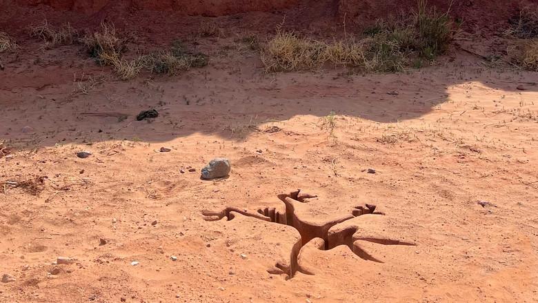 Coyote vs. Acme still 3