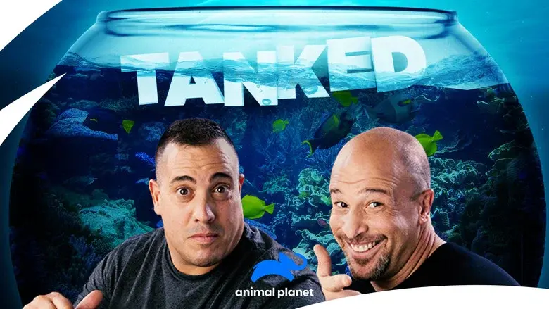 Tanked still 2