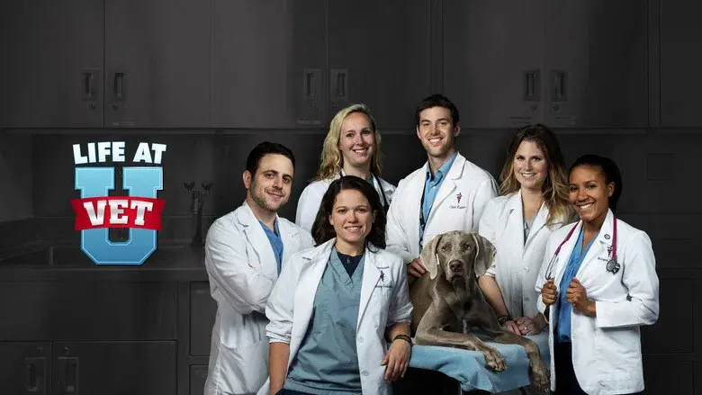 Life at Vet U still 2