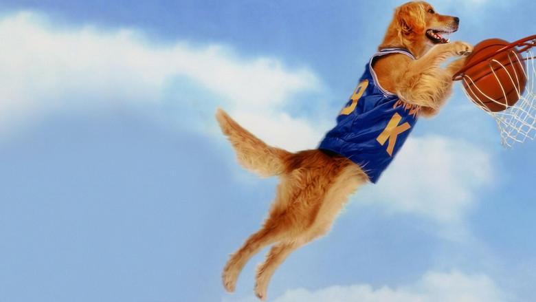 Air Bud still 1