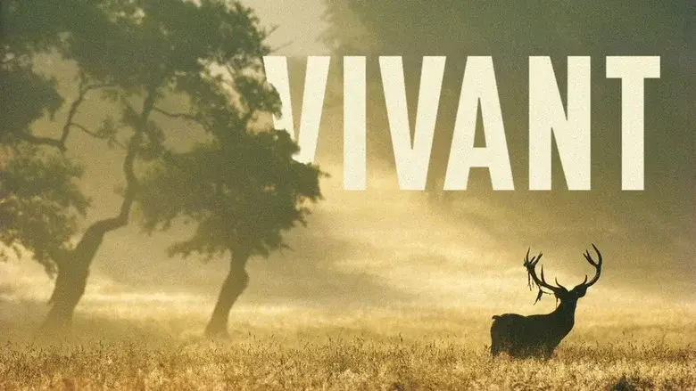 Vibrant still 1