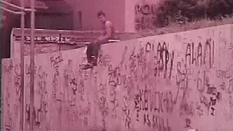 The Vandals still 1