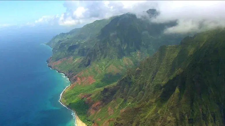 Wild Hawaii still 8