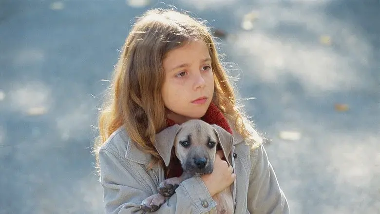 Chestnut: Hero of Central Park still 2