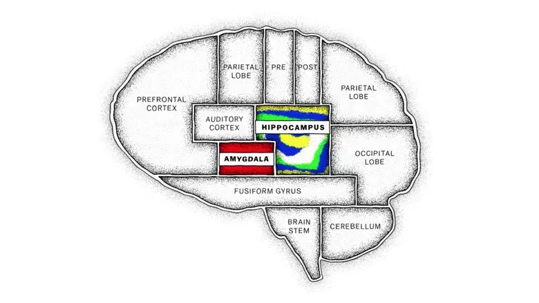 The Mind, Explained still 1